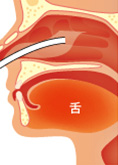 経鼻内視鏡での上部消化管内視鏡検査